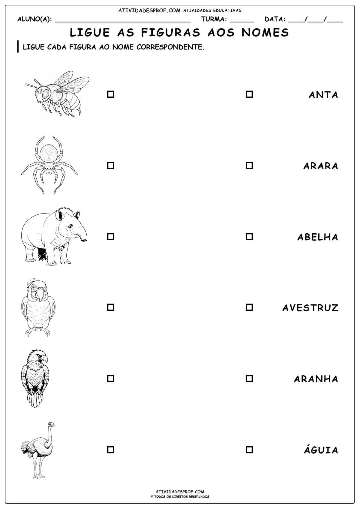 LIGUE AS FIGURAS AOS NOMES