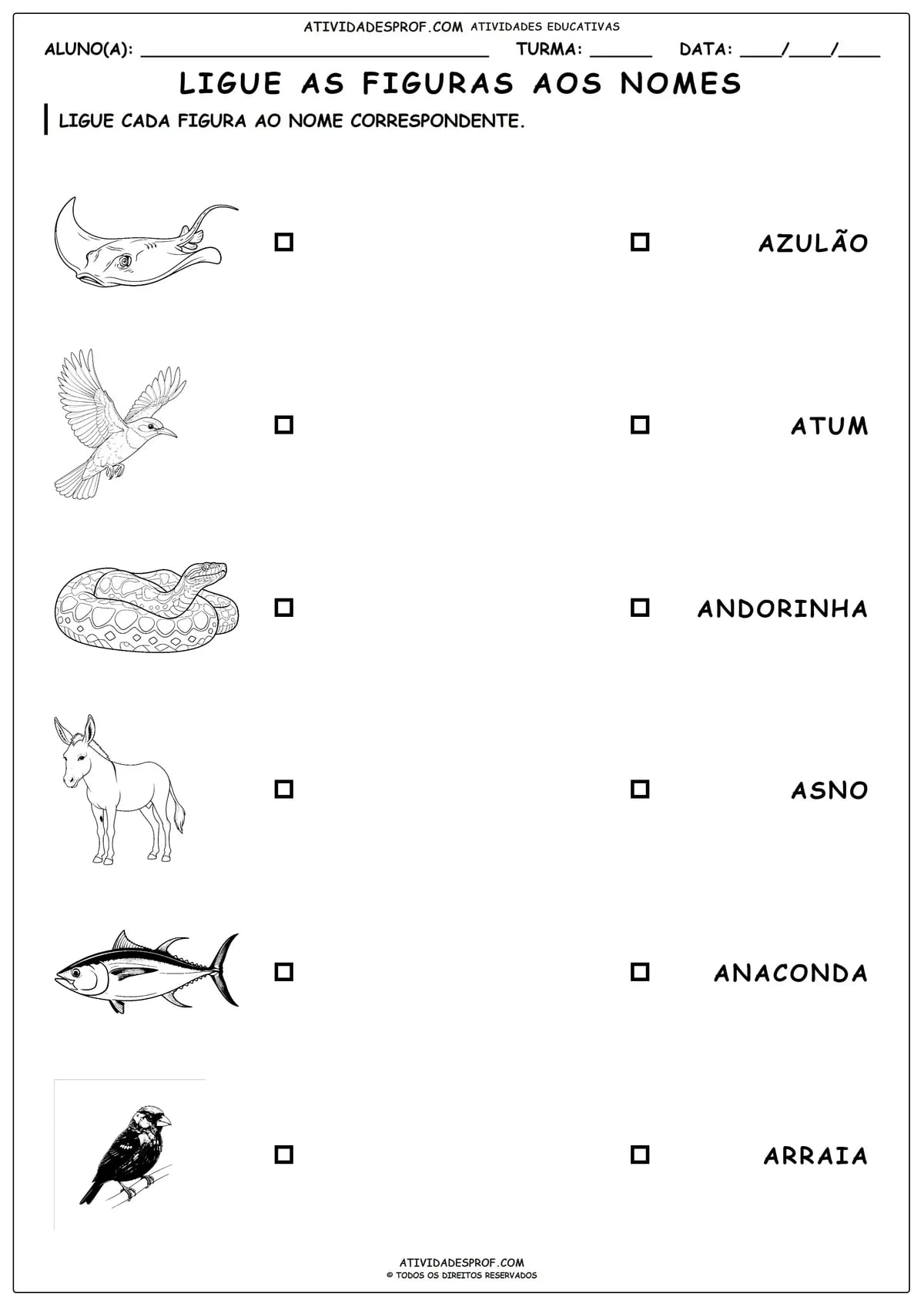 LIGUE AS FIGURAS AOS NOMES