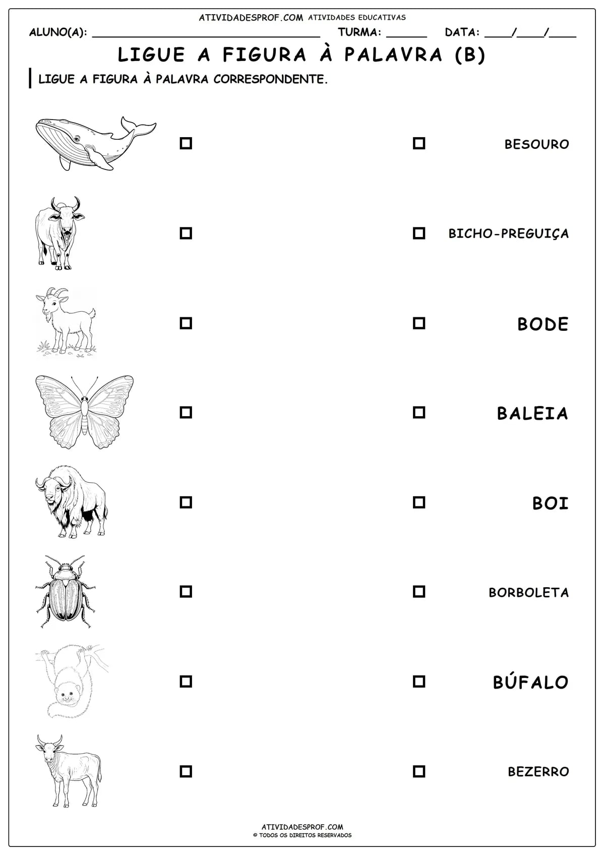 LIGUE A FIGURA À PALAVRA (B)
