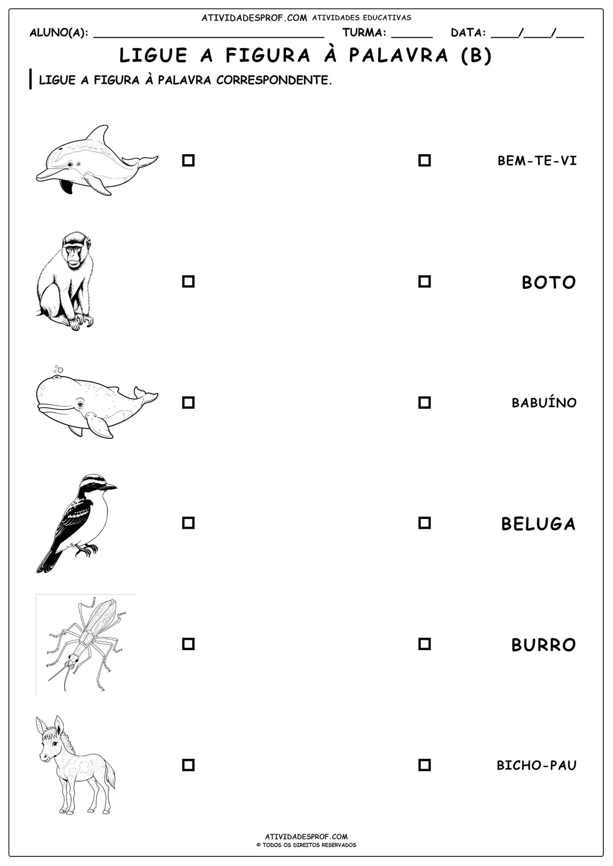 LIGUE A FIGURA À PALAVRA (B)