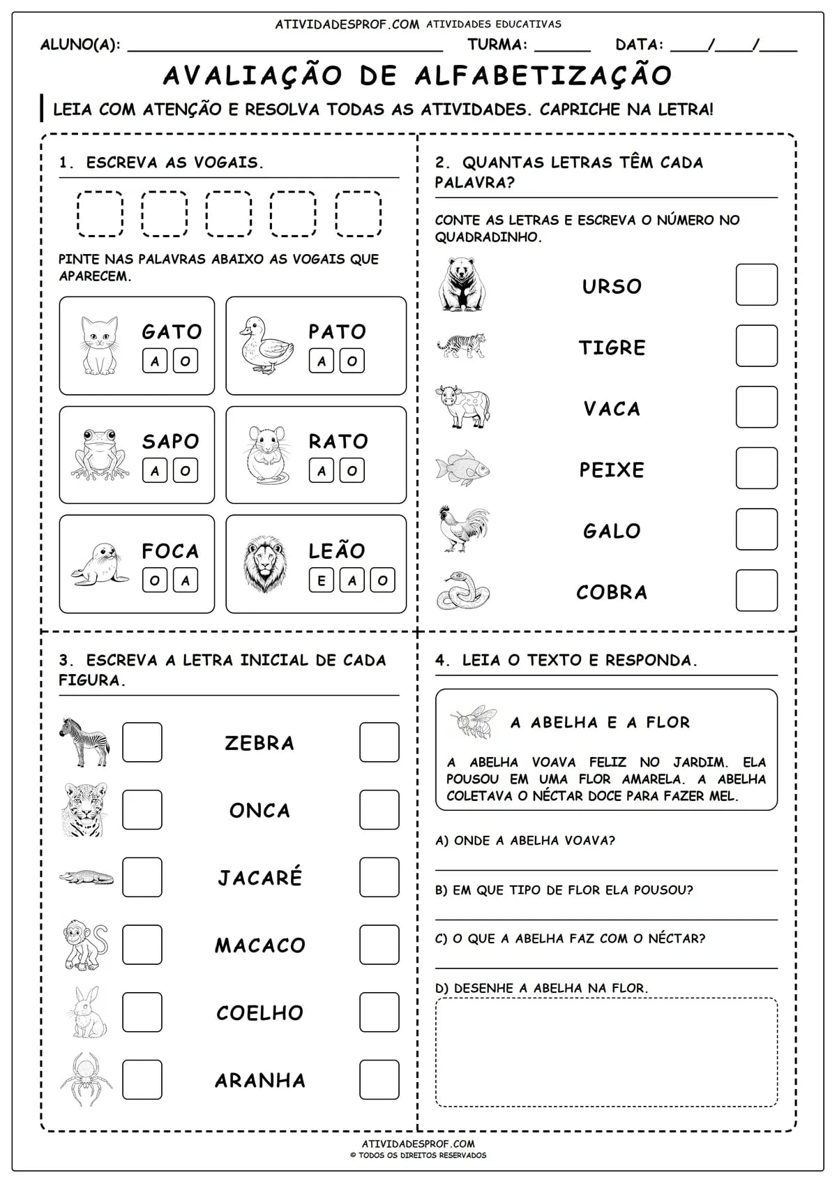 AVALIAÇÃO DE ALFABETIZAÇÃO