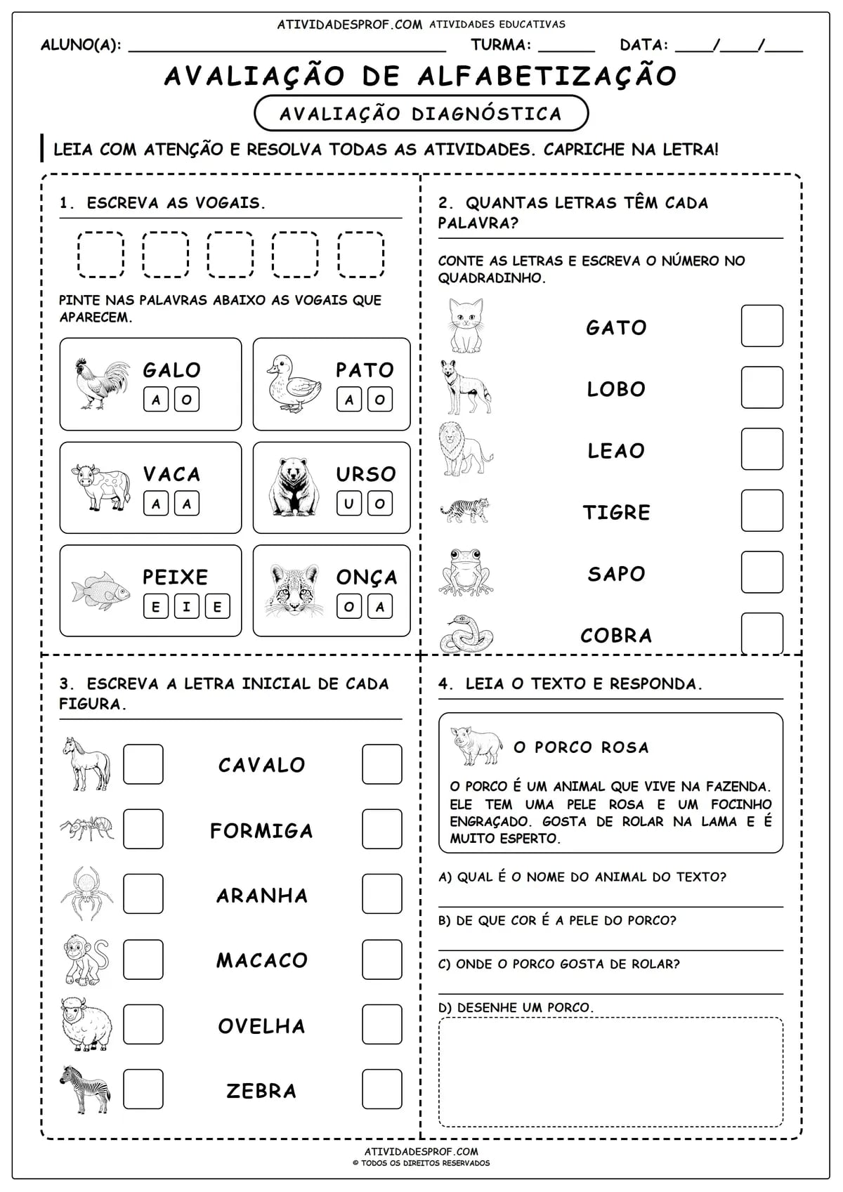 AVALIAÇÃO DE ALFABETIZAÇÃO