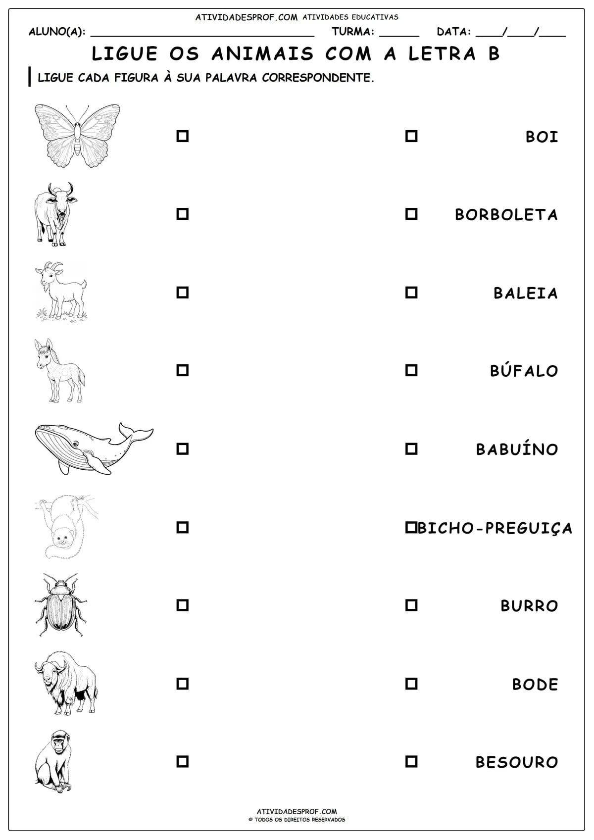 LIGUE OS ANIMAIS COM A LETRA B