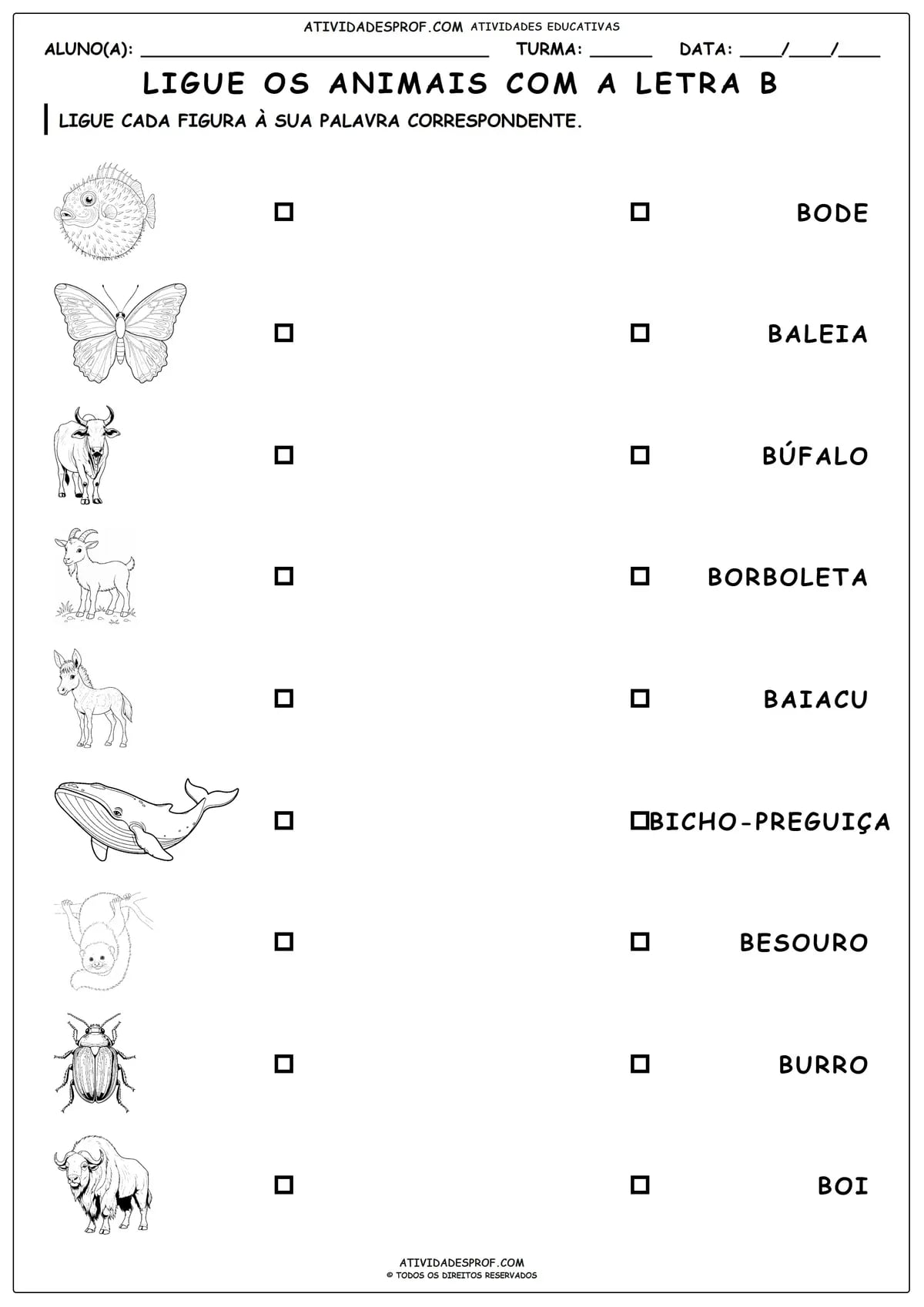 LIGUE OS ANIMAIS COM A LETRA B