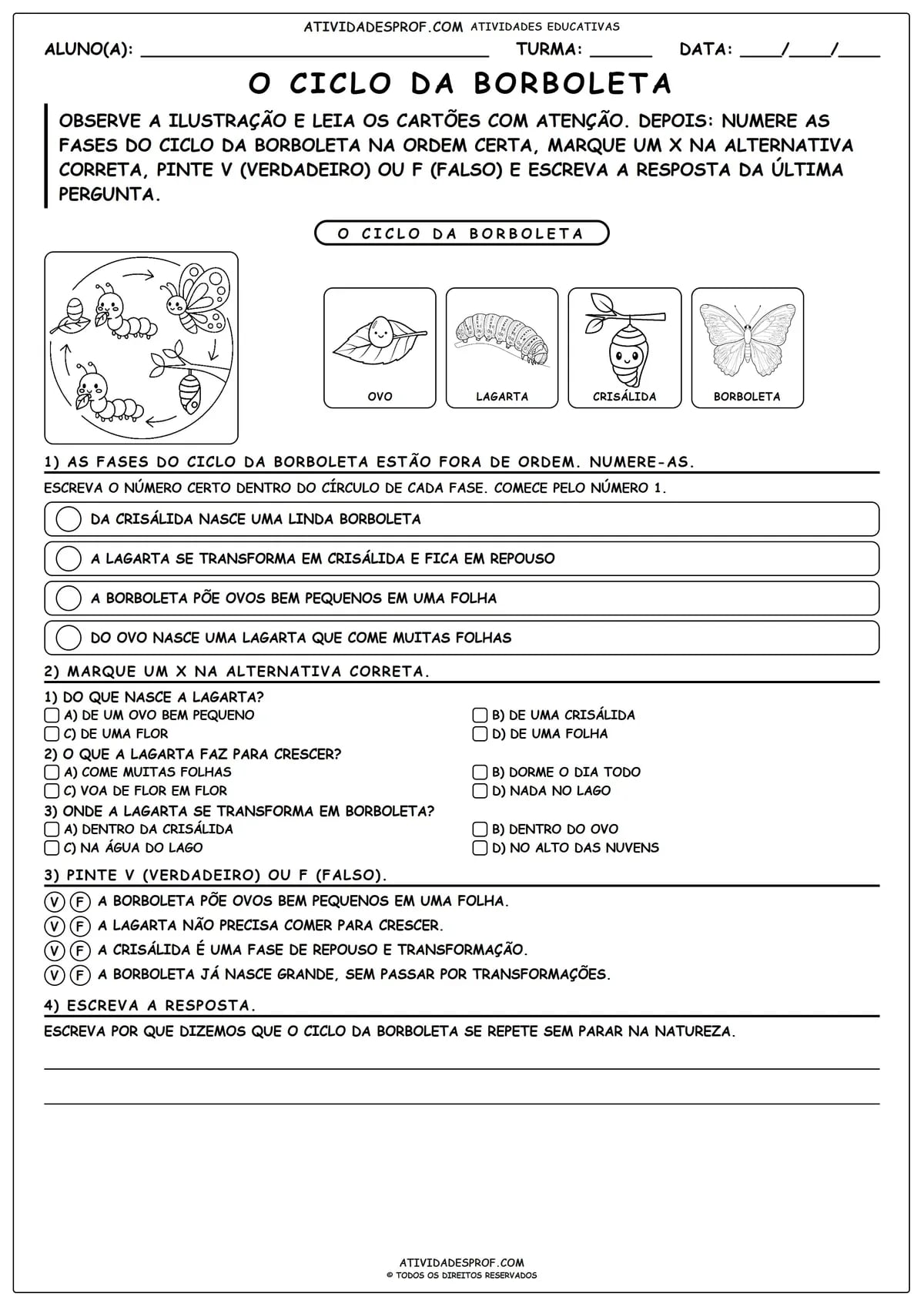O Ciclo da Borboleta