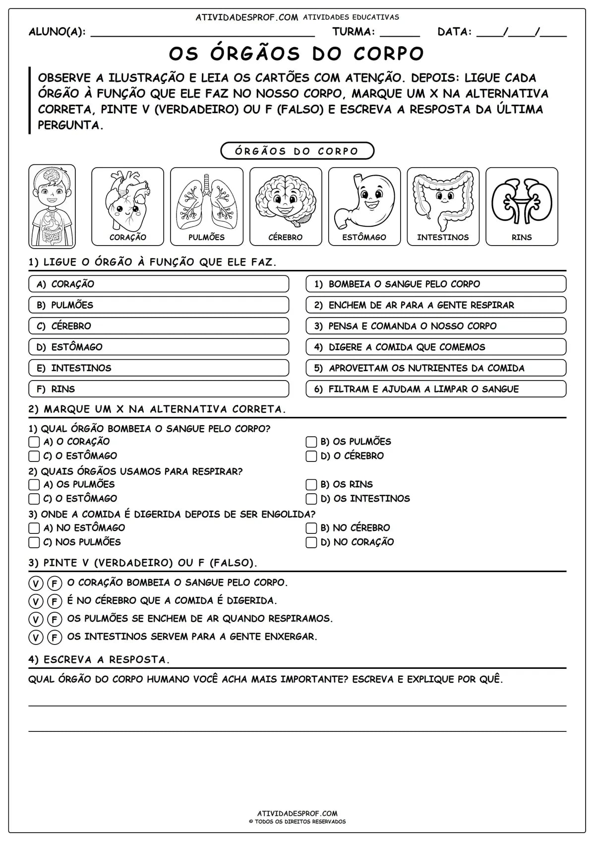 Os Órgãos do Corpo
