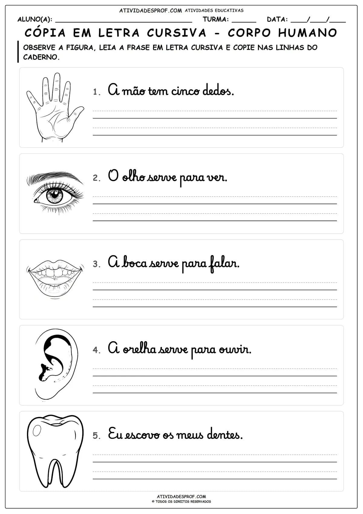 CÓPIA EM LETRA CURSIVA - CORPO HUMANO