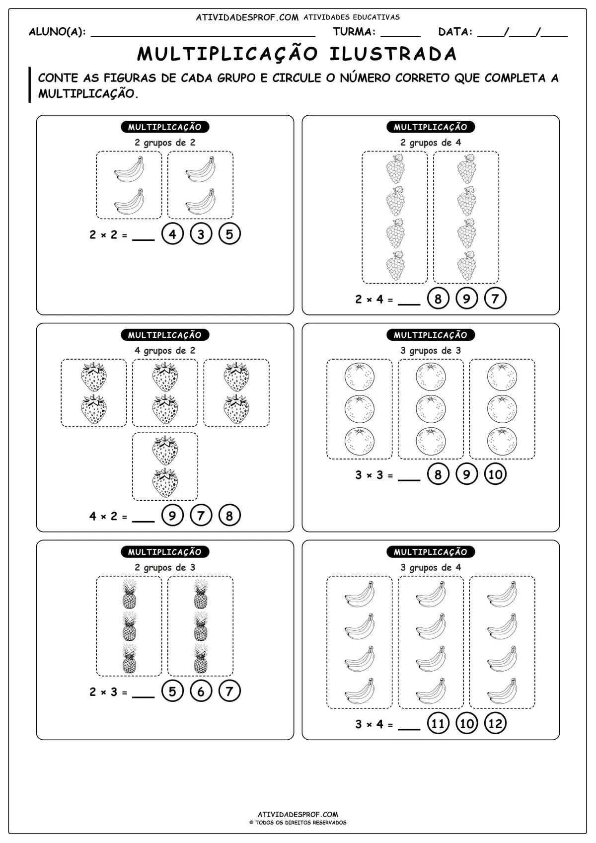 MULTIPLICAÇÃO ILUSTRADA